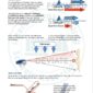 ISSA PDF Handbook page displaying diagrams and information about tides including tidal streams and tidal vectors