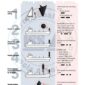ISSA PDF Handbook page displaying diagrams and information about collision prevention whilst sailing
