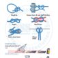 SIA-yacht-crew-pdf-manual-P4